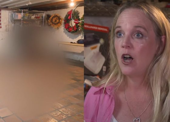 “ultrajante e imprudente”, disse comprador Casal compra casa dos sonhos mas processa vendedor após descoberta; veja o que encontraram