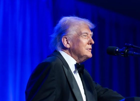 Trump diz que teve 'ótima conversa' com Lula e que países 'se darão muito bem juntos'