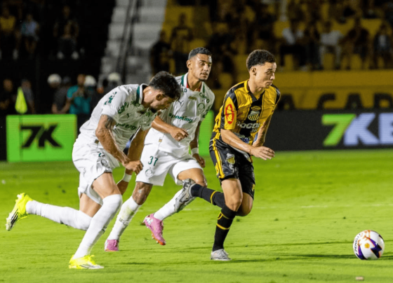 Novorizontino x Palmeiras se enfrentaram pela 4ª rodada do Campeonato Paulista