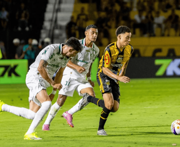 Novorizontino x Palmeiras se enfrentaram pela 4ª rodada do Campeonato Paulista