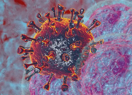 As doenças no radar de infectologistas em 2026