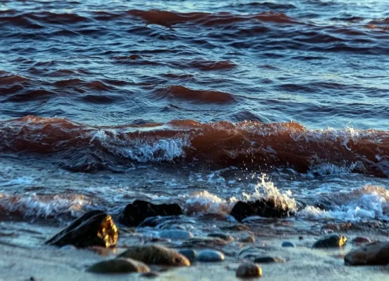 Estreito de Ormuz está aberto para todos, menos para aliados dos EUA, diz chanceler iraniano