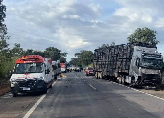 Grave acidente entre van, carro e caminhão deixa 8 mortos na BR-020, em Formosa