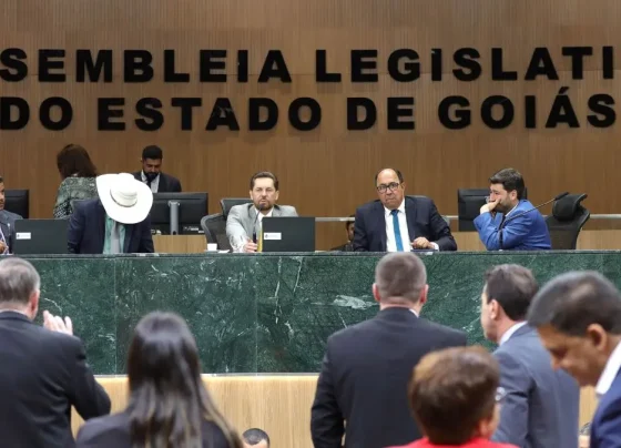 Imagem mostra deputados no plenário da Alego