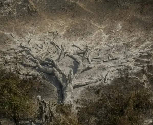 Mudanças climáticas já afetam 85% dos brasileiros, diz pesquisa