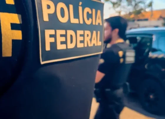 Imagem ilustrativa de policiais federais - (Foto: reprodução/PF)