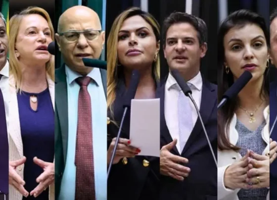 Foto colagem mostra parte da bancada goiana no Congresso nacional