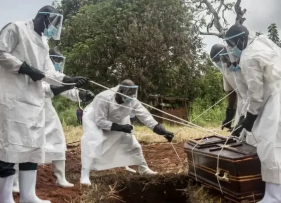 União Africana alerta para mais de 1.100 casos suspeitos de ebola 263 casos foram confirmados nos dois países, com 43 mortes registradas